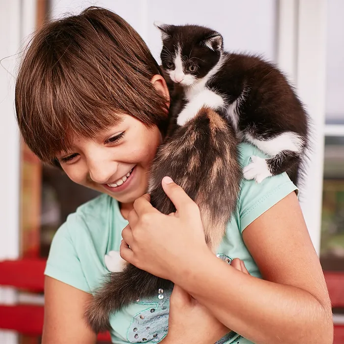 Pisici din grija Asociației Humanimals