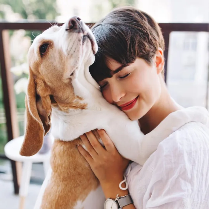 Câine salvat de Asociația Humanimals