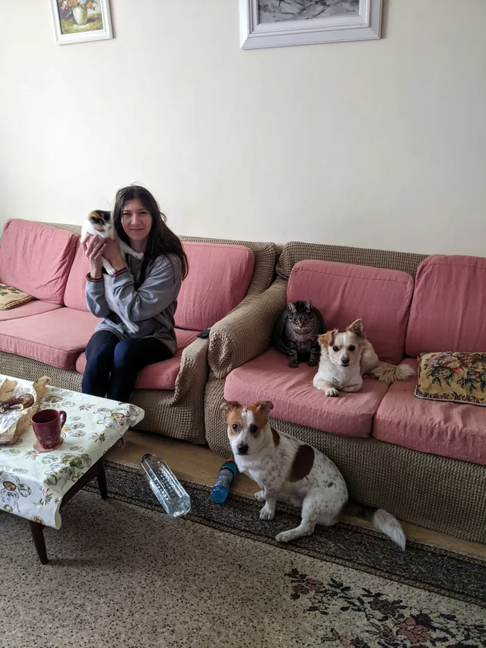 Diana, at home, with three of the couple's four adopted animals