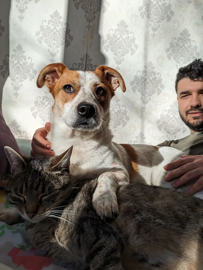 George, with two of their adopted animals