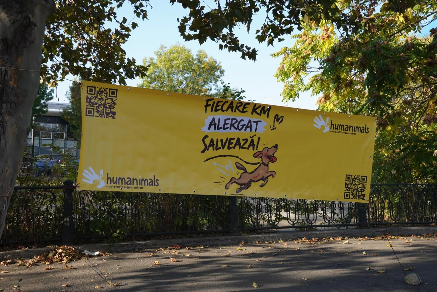 Bannerul Humanimals, „Fiecare km alergat salvează”, pe traseul Bucharest Marathon